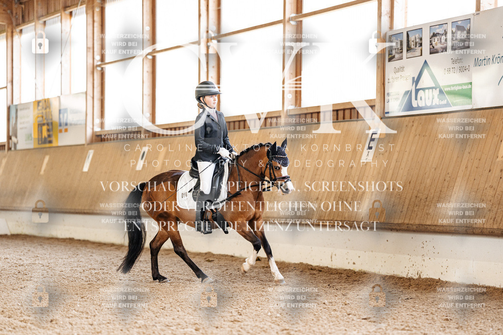 CK908895 | Turnierfotografie Pferdefotografie Trier Rheinland-Pfalz Pferdesport Reitsport Tierfotografie Sportfotografie Pferdevideo Pferdevideografie Equestrianvideography equestrianphotography  - Realisiert mit Pictrs.com