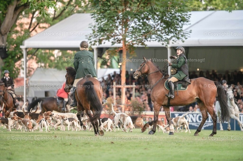 20230526_Pferdenacht_0547 | equistock