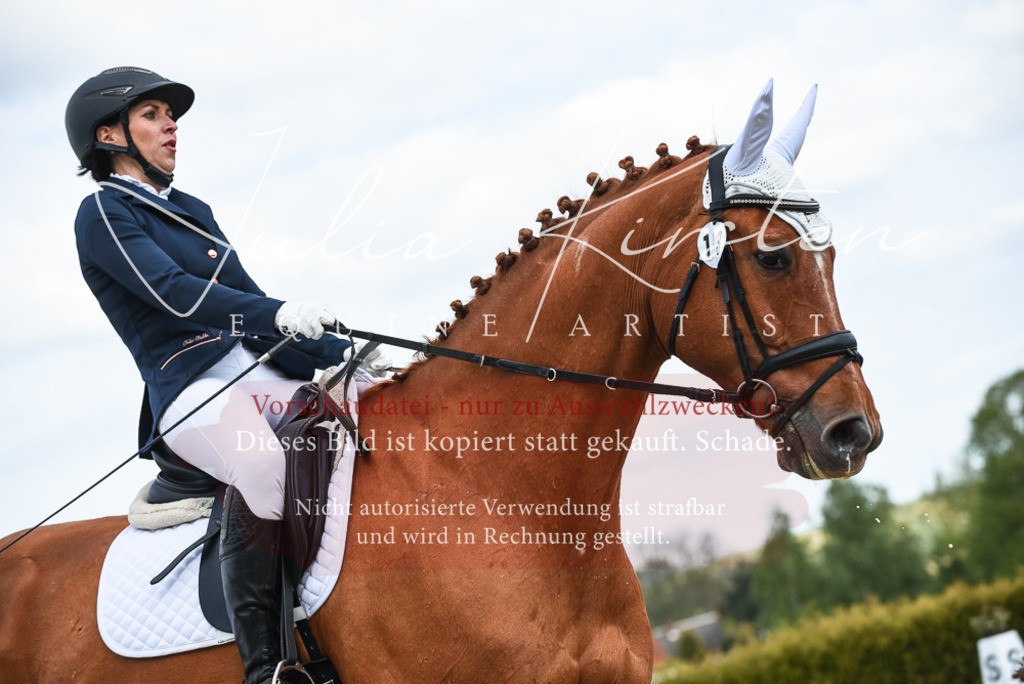 20230518_JK-Röhrsdorf-12-0646 | Pferde- und Turnierfotografie in Westsachsen. Pferdeportraits, Auftragszeichnungen und intuitive Kunst.