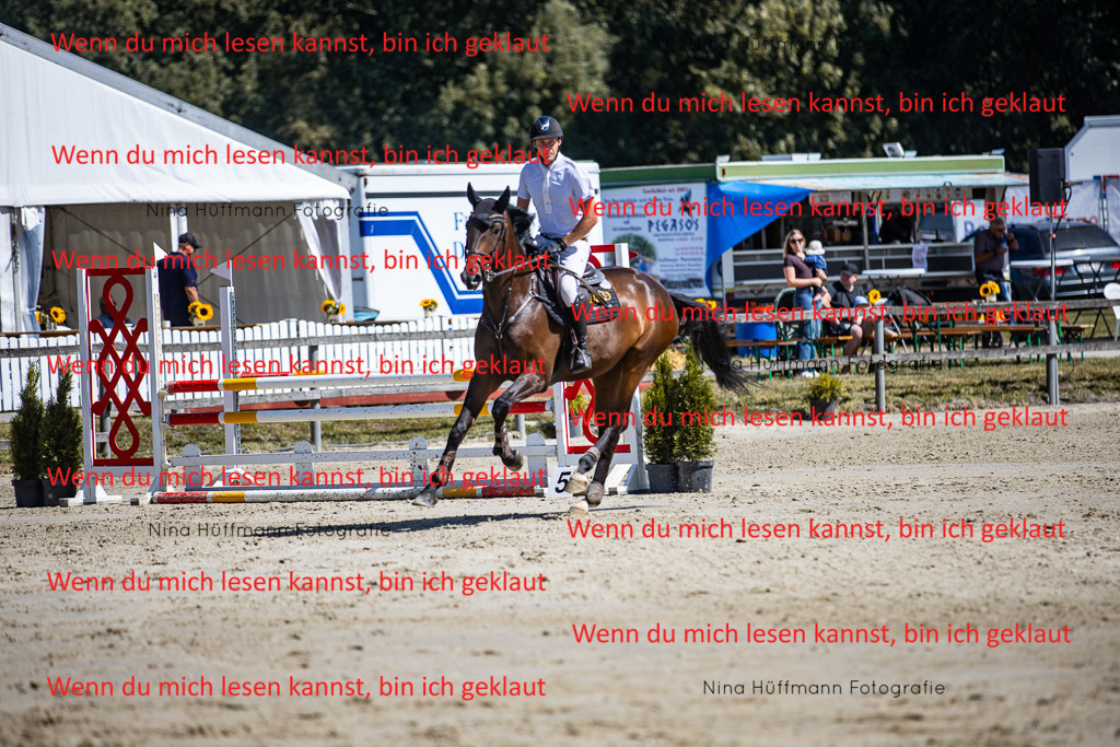 BK1A5415 | Turnierbilder Turnierfotos Nina Hüffmann Turnierfotografie Pferdefotografie Tierzeichnung Haustierzeichnung Pferdezeichnung Hundezeichnung Videograf  - Realisiert mit Pictrs.com