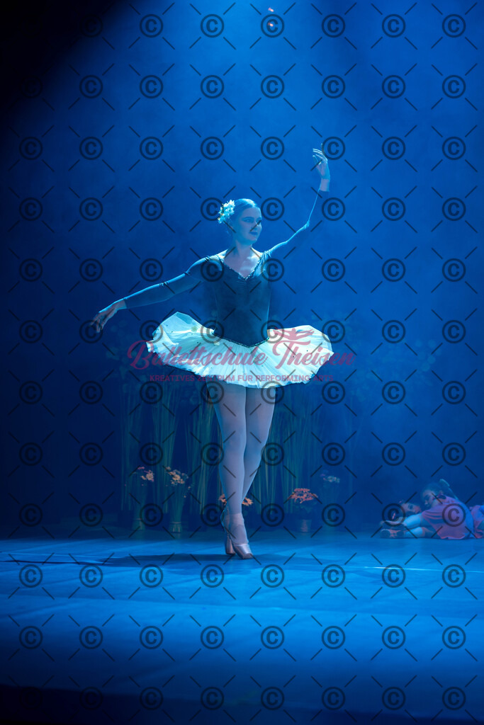 Ballettaufführung-1168 | Bildershop Lem'n Entertainment - Realisiert mit Pictrs.com