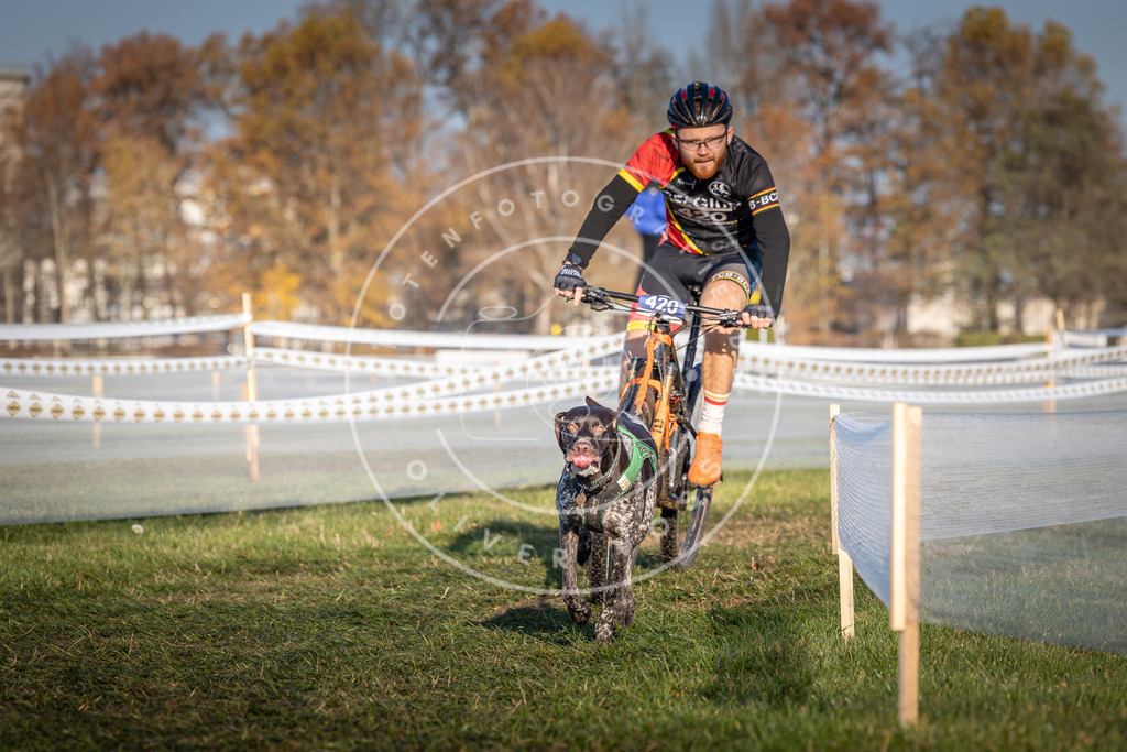 CaniXpix_0L8A4138 | Hundefotografie, Tierfotograf, Pfotenfotografie, Fotoshooting Hund, Hunde Portrait, Hundesport, Hundeportraits, Heideshooting, Hunde, Sportfotograf, Hundefotograf, Turnierhundsport, THS,  - Realisiert mit Pictrs.com
