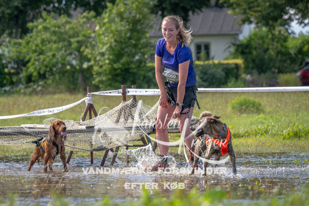 1148_ZZ91767 | kk-dogfotos