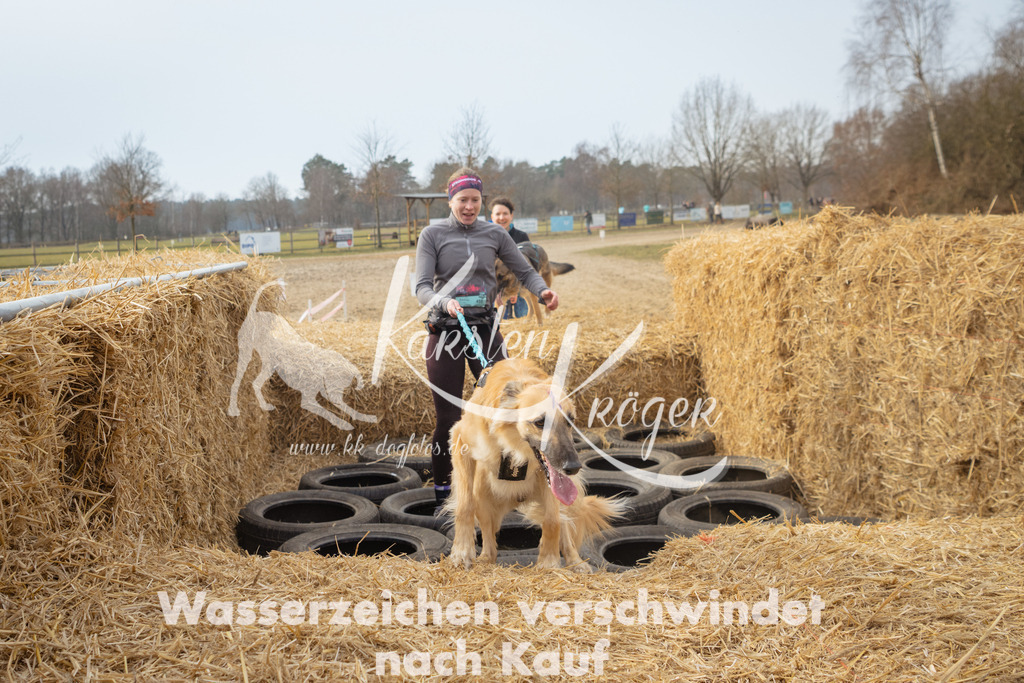 1047_ZZ99211 | kk-dogfotos