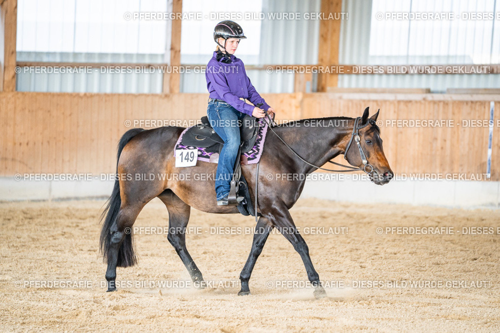 DSC09518 | Pferdegrafie