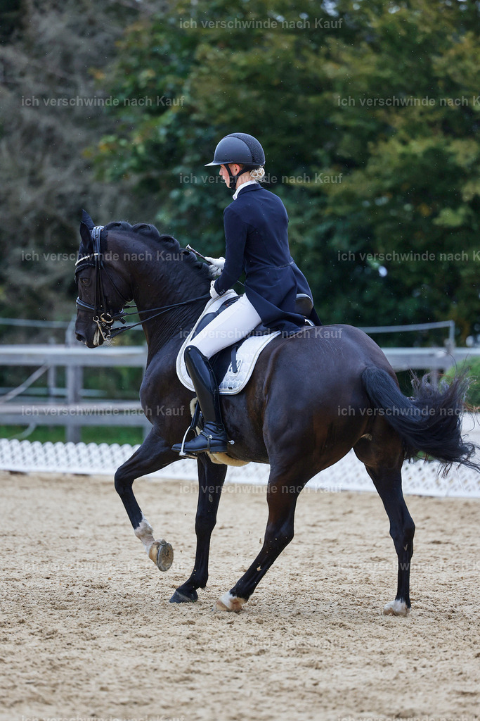 8_1-212-Klasse S_  -StoibPH-3938 | working equitationturnier fotograf videograf stoibphotography marixx film working equitation deutschland reitsport turnierfotografie eventfotografie equestrian events