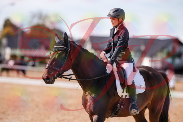 2026_10_03_Siefer-Hof_133419_Z81_93141455 | Professionelle Reitsport-, Turnier- und Eventfotografie von Robert Broda. Galerien mit ausgewählten und bearbeiteten Bildern direkt online ansehen und bestellen.