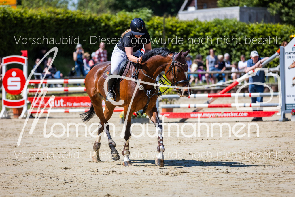 Donop24-Stil-L-026 | MomenTaufnahmen Pferdesportfotos