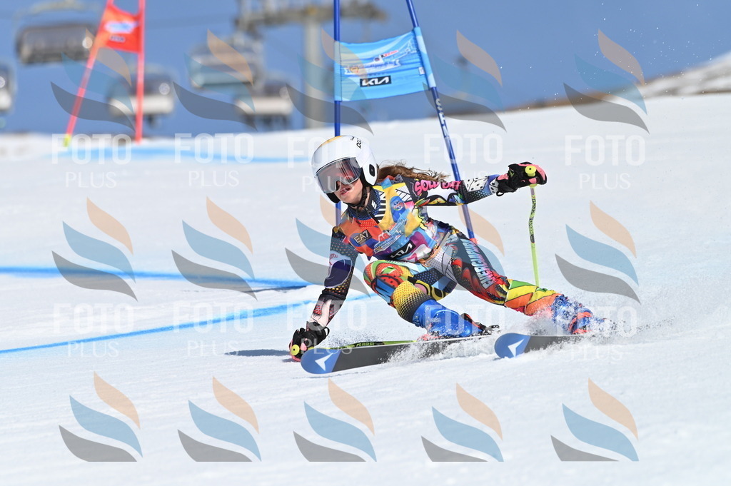 BGV_8852 | holidayphoto