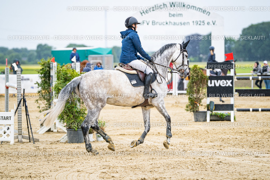 DSC08185 | Pferdegrafie