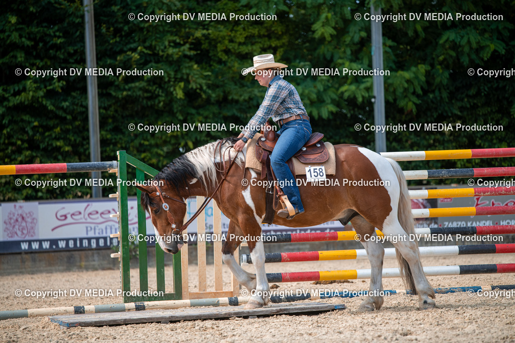 EWP_6812 | dv-media-shop - Realisiert mit Pictrs.com