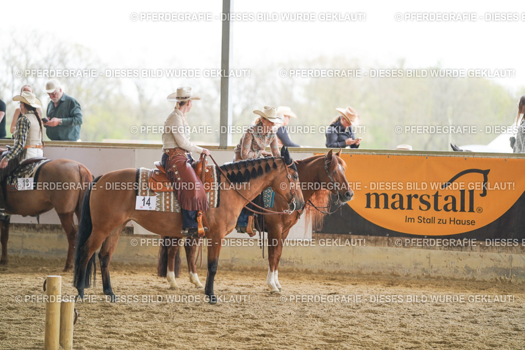 DSC03252 | Pferdegrafie