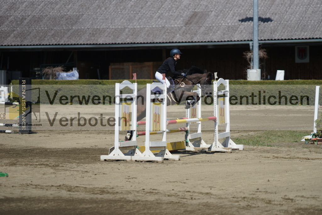 DSC02856 | equestrian-live-com