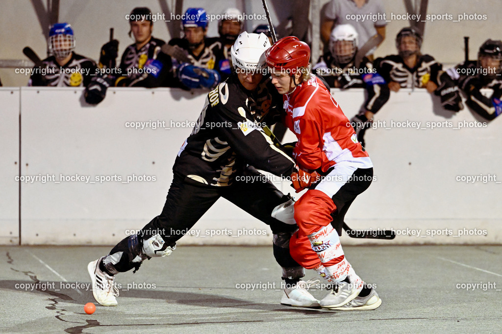 Team Zehenthof vs. HSC Eagles 7.7.2023 | #1 Kravanja Kristian, #7 Van EE Fin