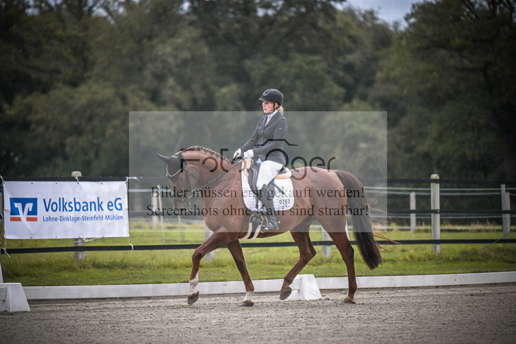 DOS_0028 | Entdecke hochwertige Reitturnierfotos von Foto Oger. Professionell, emotional und authentisch – jetzt Lieblingsmomente im Shop bestellen.Deutschlandweite Turnierfotografie. - Realisiert mit Pictrs.com