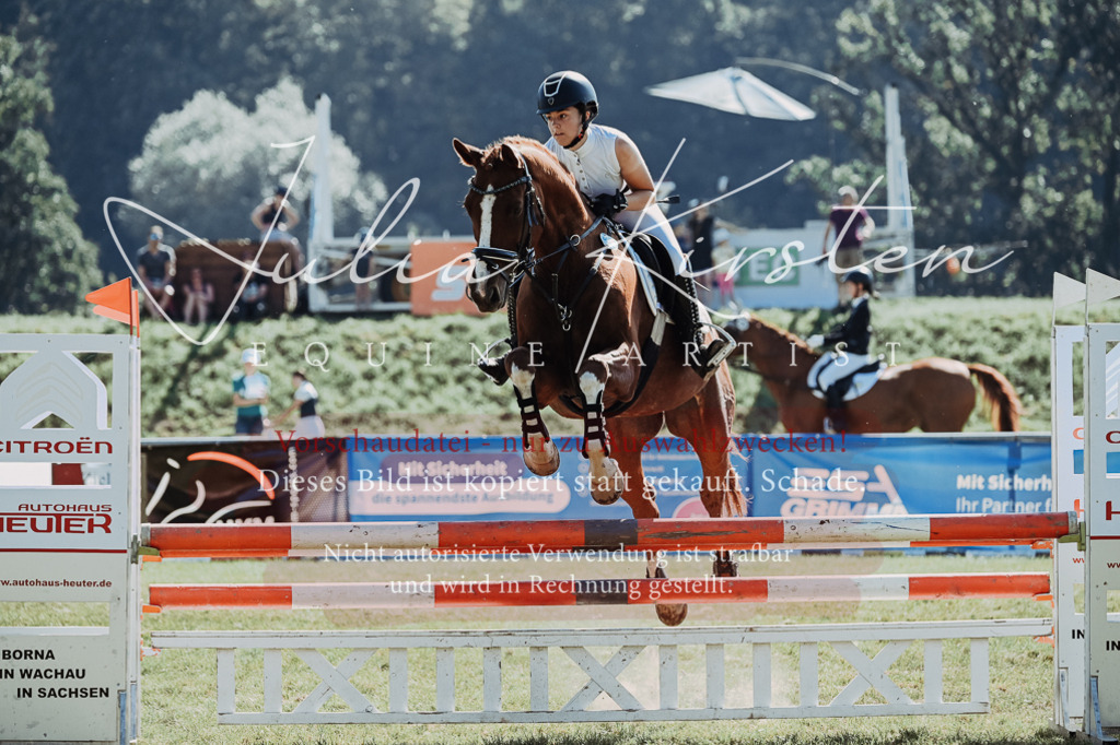 DSC_5655 | Pferde- und Turnierfotografie in Westsachsen. Pferdeportraits, Auftragszeichnungen und intuitive Kunst.