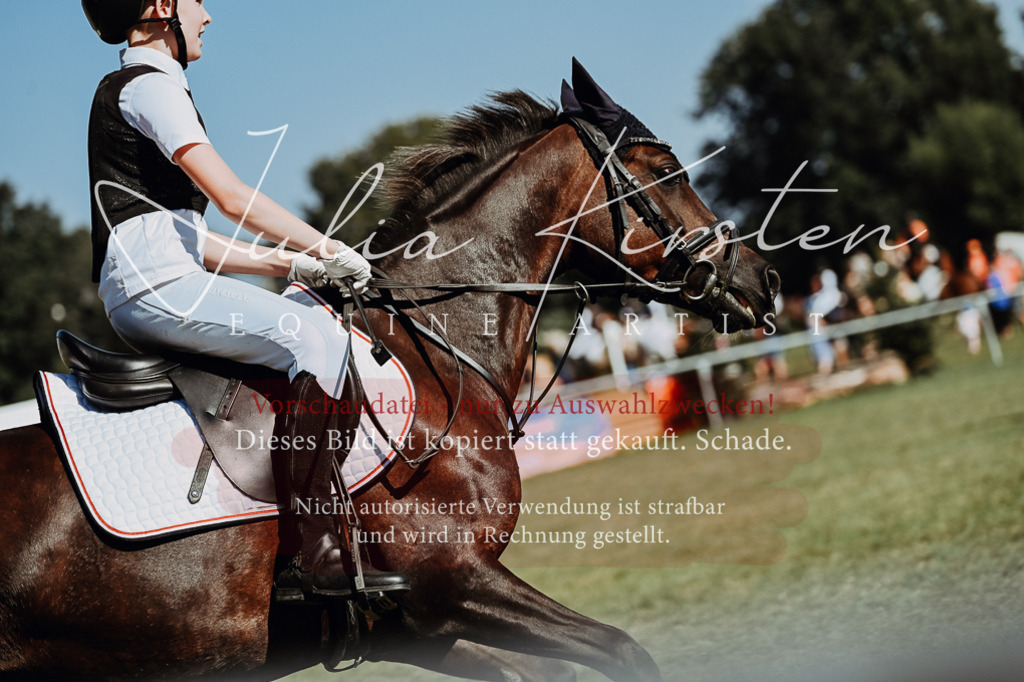 DSC_6906 | Pferde- und Turnierfotografie in Westsachsen. Pferdeportraits, Auftragszeichnungen und intuitive Kunst.