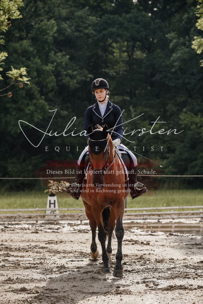 DSC_8445 | Pferde- und Turnierfotografie in Westsachsen. Pferdeportraits, Auftragszeichnungen und intuitive Kunst.