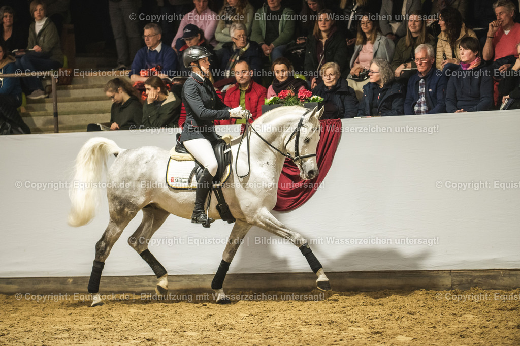 20240302_Hengstvorstellung_Marbach_TOMsPiC_1047-2 | equistock