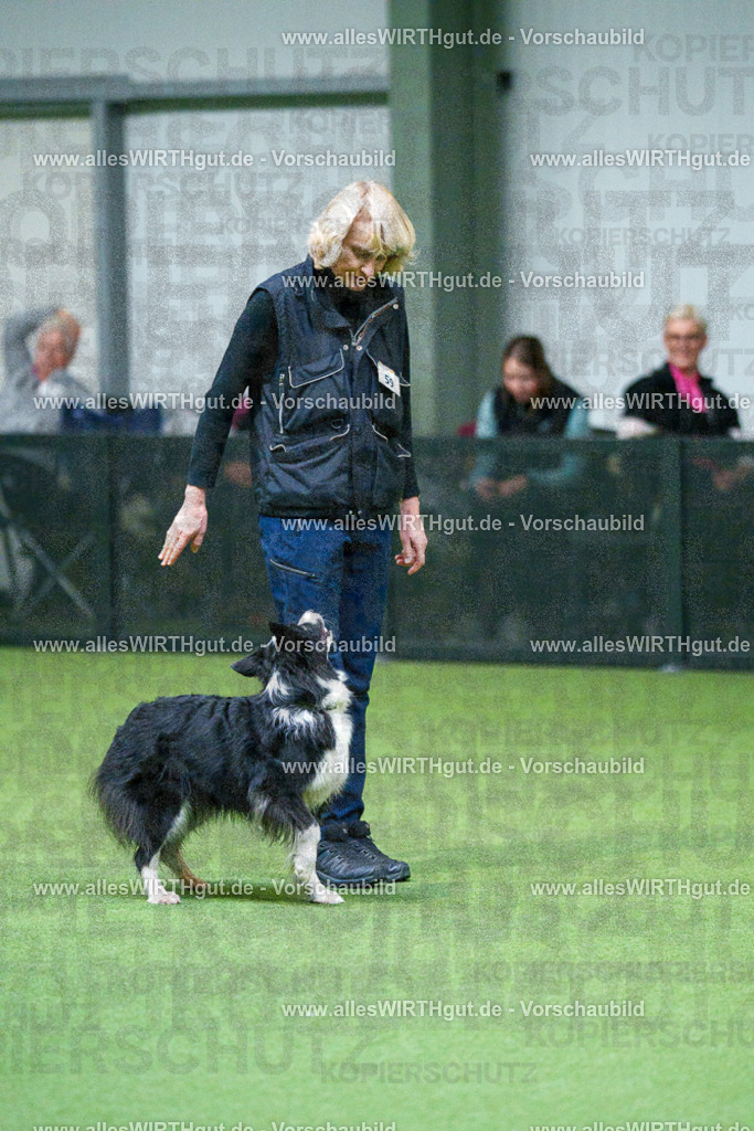 7R502776 | Professionelle Tierfotografie in Mönchengladbach von Daniel Wirth (allesWIRTHgut). Liebevolle & natürliche Bilder von Hunden & Katzen für unvergessliche Erinnerungen.