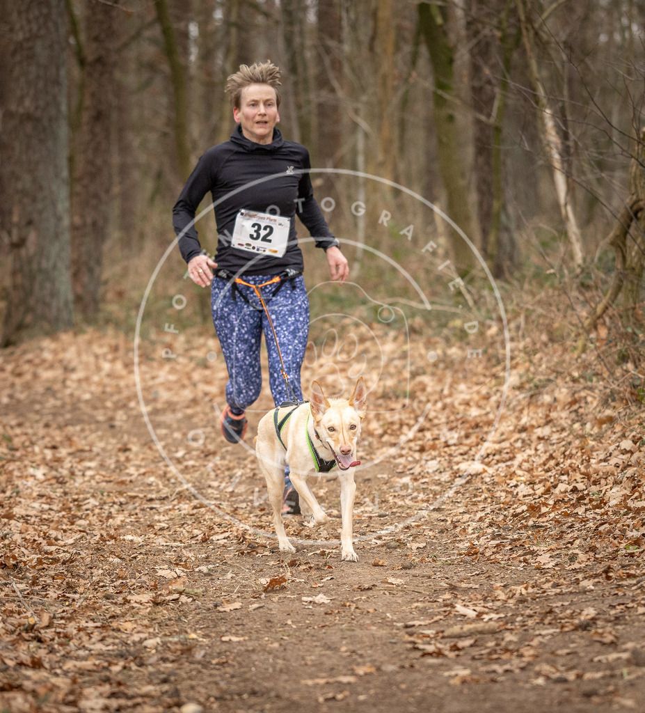 Pfotenfotografie_DV3A9432 | Hundefotografie, Tierfotograf, Pfotenfotografie, Fotoshooting Hund, Hunde Portrait, Hundesport, Hundeportraits, Heideshooting, Hunde, Sportfotograf, Hundefotograf, Turnierhundsport, THS,  - Realisiert mit Pictrs.com