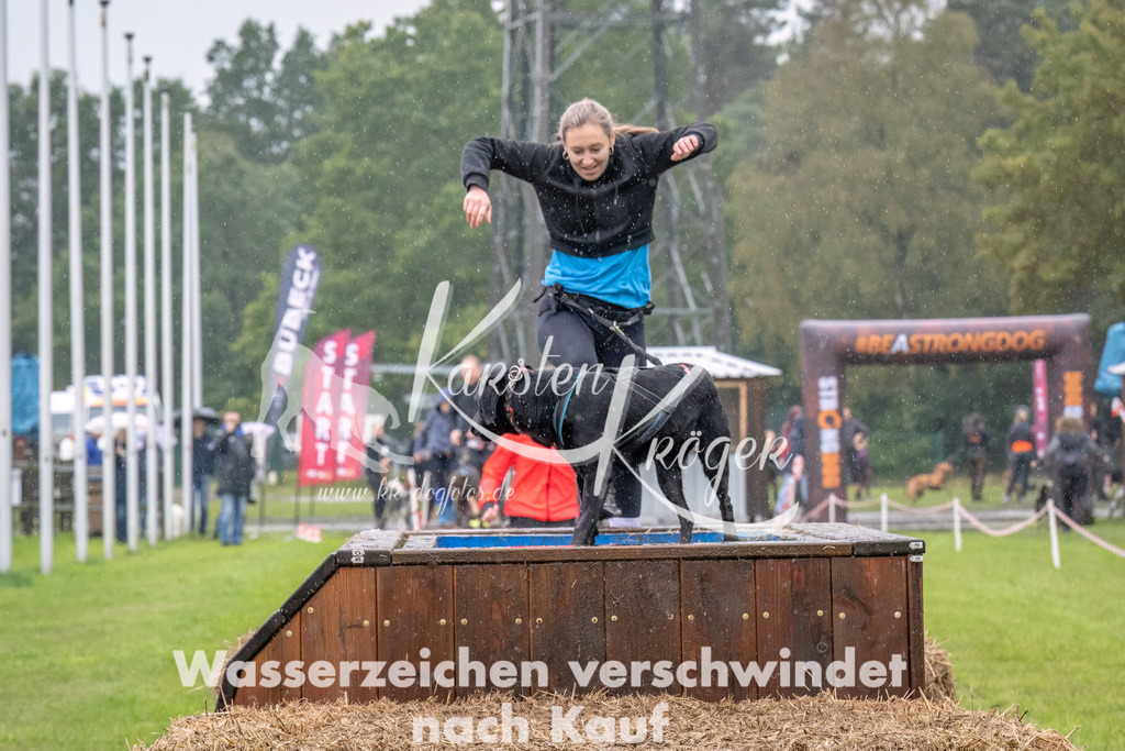 1312--3 | kk-dogfotos