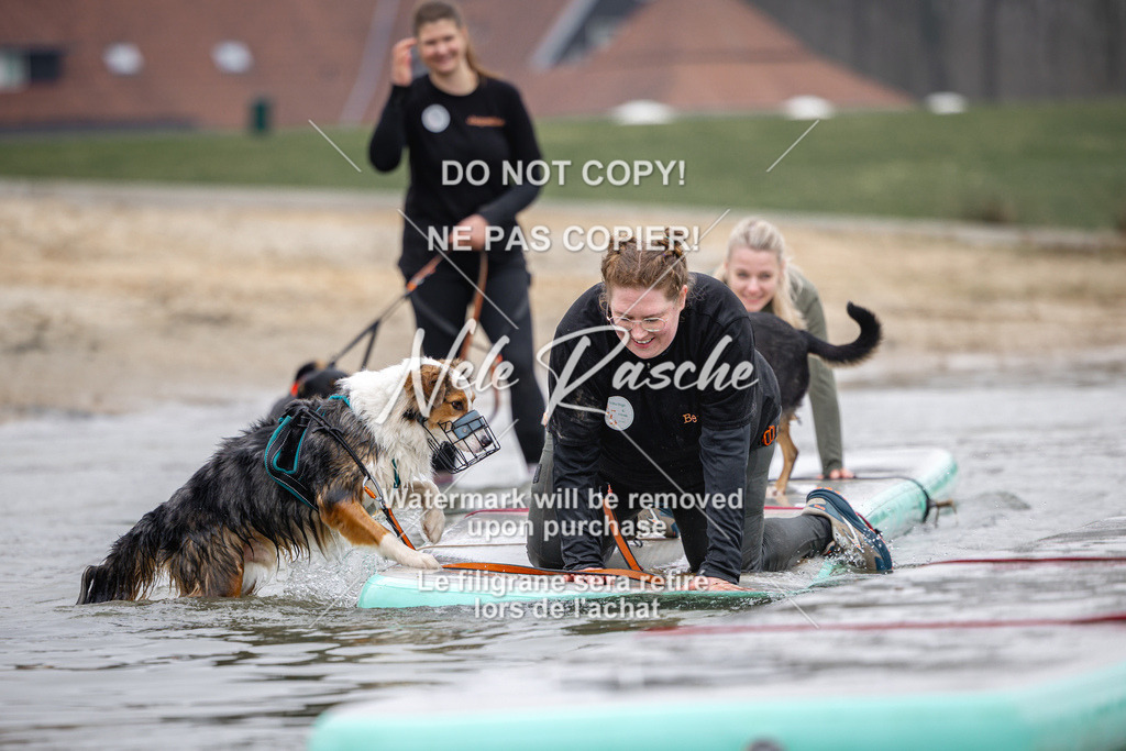 nelerasche_Hulsbeek_Sa1130-1230_03 | nelerasche
