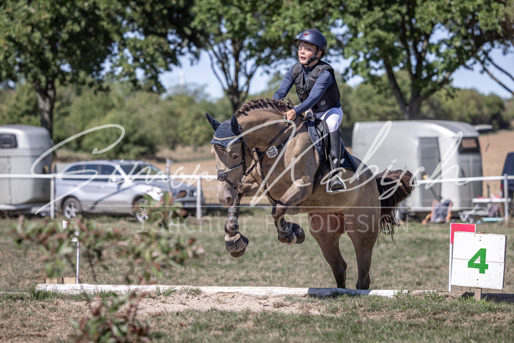20260906-_3LI4431 | Tierfotografie Pferde, Hunde, Katzen, Haustiere.
Turnierfotografie Reitturniere, Reiten, Springreiten, Dressur in Hanau, dem Main-Kinzig-Kreis und dem Rhein-Main- Gebiet um Frankfurt