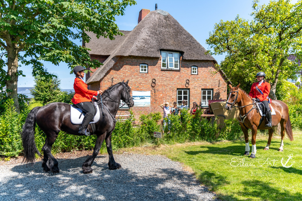 20250621-EAF_5117 | Eilun-Art-Fotografie Levke Martens, ihre Fotografin für Immobilien- und Landschaftsfotografie auf Föhr, Föhrer Motive als Poster, Leinwand, hinter Acrylglas oder stelle dir deinen eigenen Monatskalender zusammen, mit nur einem Klick