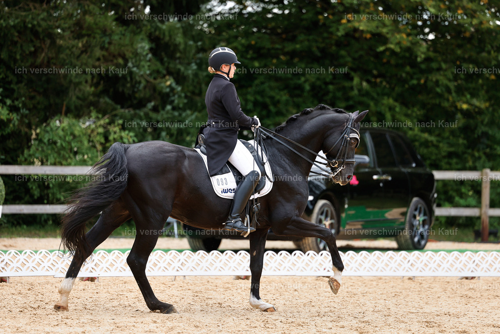 11-093-Dressur S___-StoibPH-1336 | working equitationturnier fotograf videograf stoibphotography marixx film working equitation deutschland reitsport turnierfotografie eventfotografie equestrian events