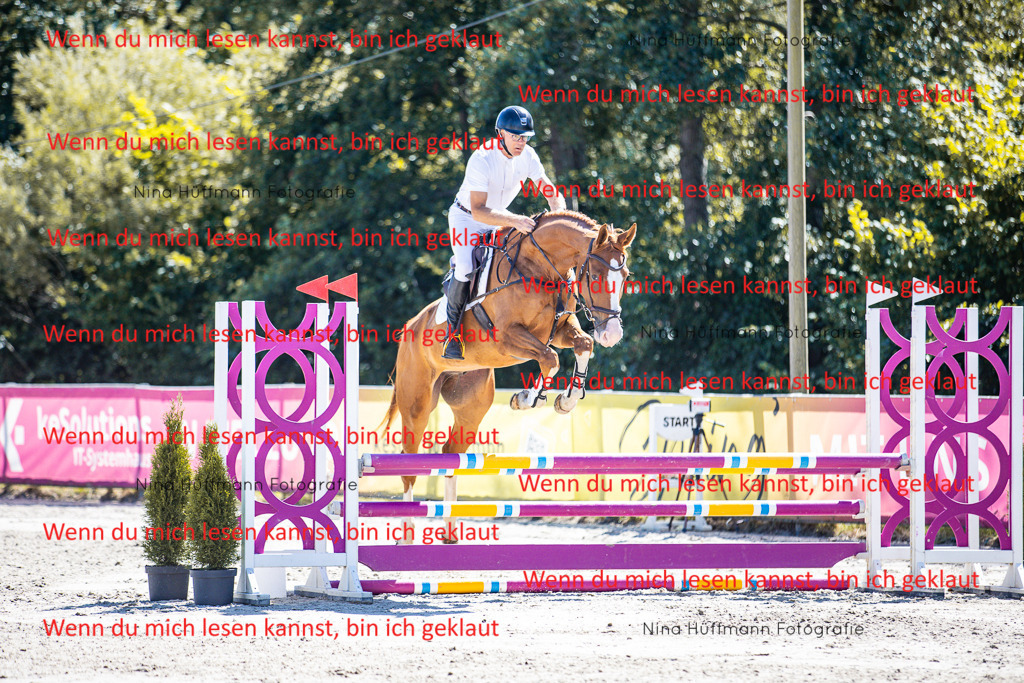 BK1A5442 | Turnierbilder Turnierfotos Nina Hüffmann Turnierfotografie Pferdefotografie Tierzeichnung Haustierzeichnung Pferdezeichnung Hundezeichnung Videograf  - Realisiert mit Pictrs.com