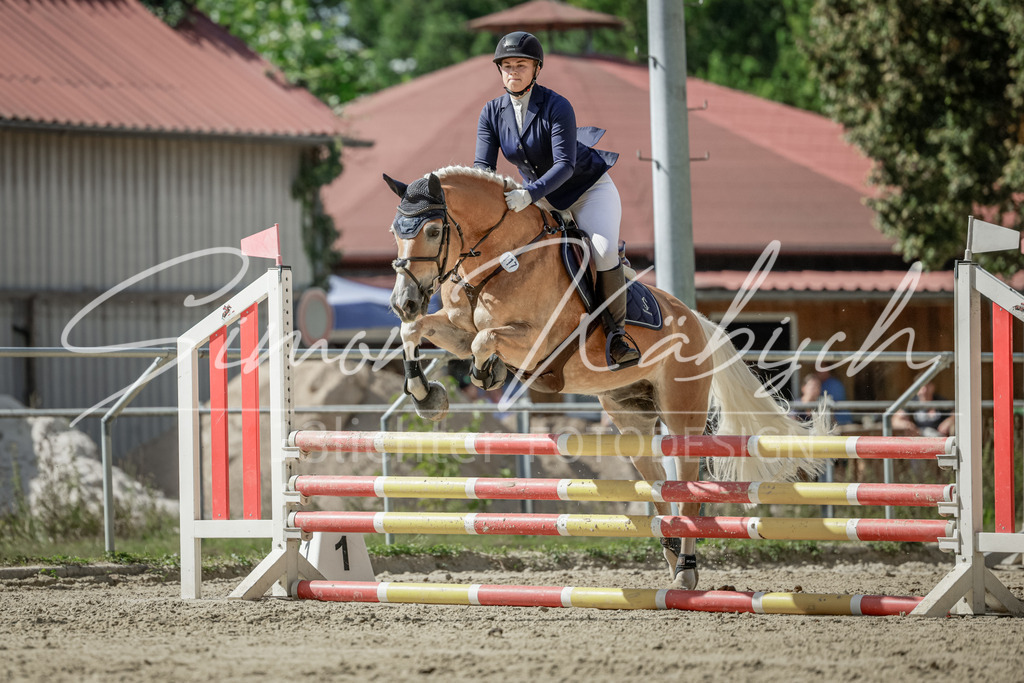 20250906-_3LI6366 | Tierfotografie Pferde, Hunde, Katzen, Haustiere.
Turnierfotografie Reitturniere, Reiten, Springreiten, Dressur in Hanau, dem Main-Kinzig-Kreis und dem Rhein-Main- Gebiet um Frankfurt