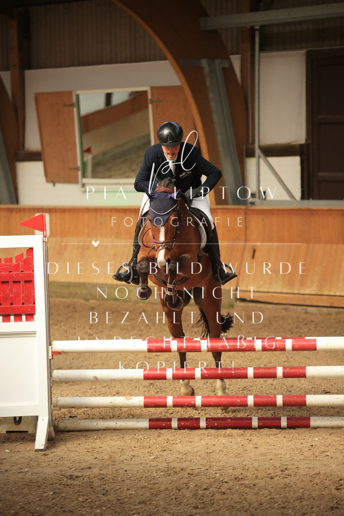 IMGT0810 | pl-fotografie