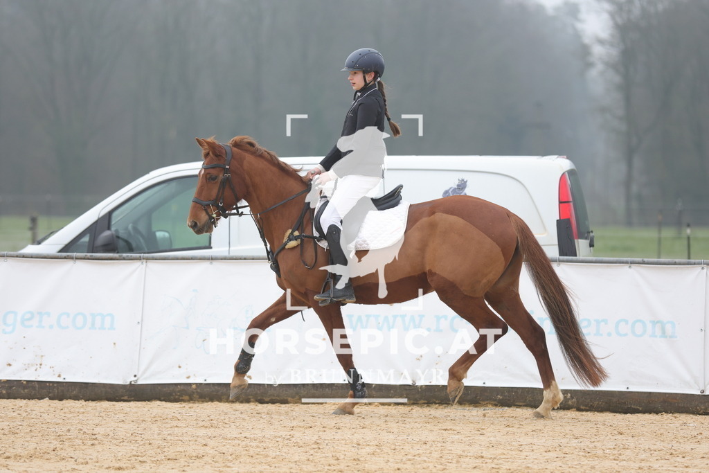 0P6A8310 | Willkommen bei Brunnmayr - Design & Fotografie – Ihrem Spezialisten für Reitturniere und Pferdeveranstaltungen in Oberösterreich, Salzburg und Bayern! Seit über 17 Jahren sind wir leidenschaftlich dabei.