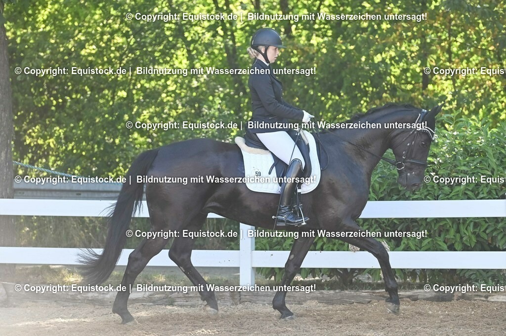 20230715_06_Dressurpferdeprfg. Kl.A_0079 | equistock