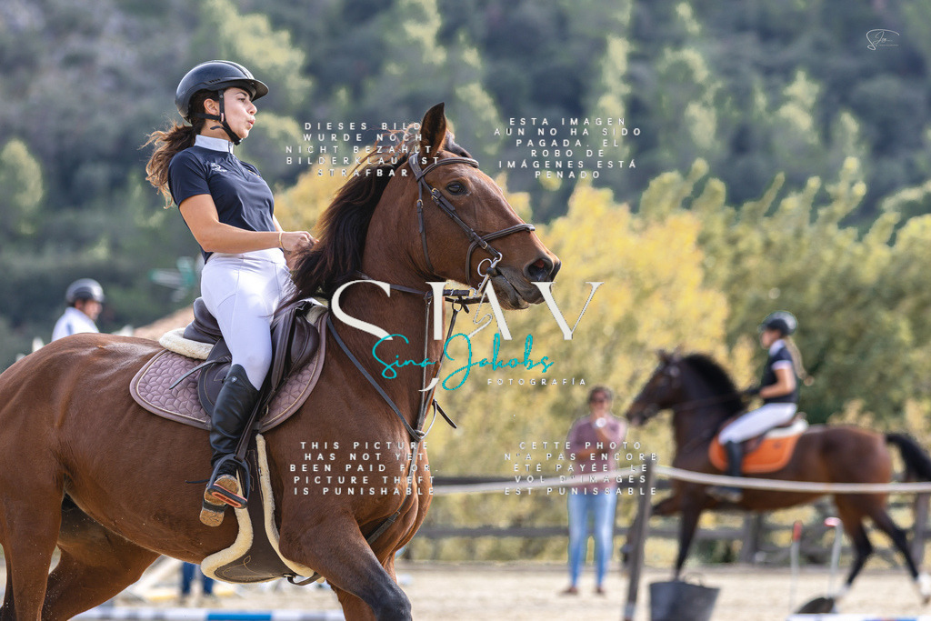 IMG_5514 | s-jay-photography - Realisiert mit Pictrs.com