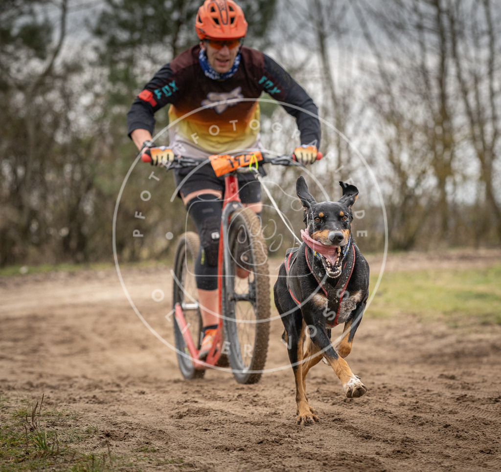 Pfotenfotografie_DV3A0015 | Hundefotografie, Tierfotograf, Pfotenfotografie, Fotoshooting Hund, Hunde Portrait, Hundesport, Hundeportraits, Heideshooting, Hunde, Sportfotograf, Hundefotograf, Turnierhundsport, THS,  - Realisiert mit Pictrs.com