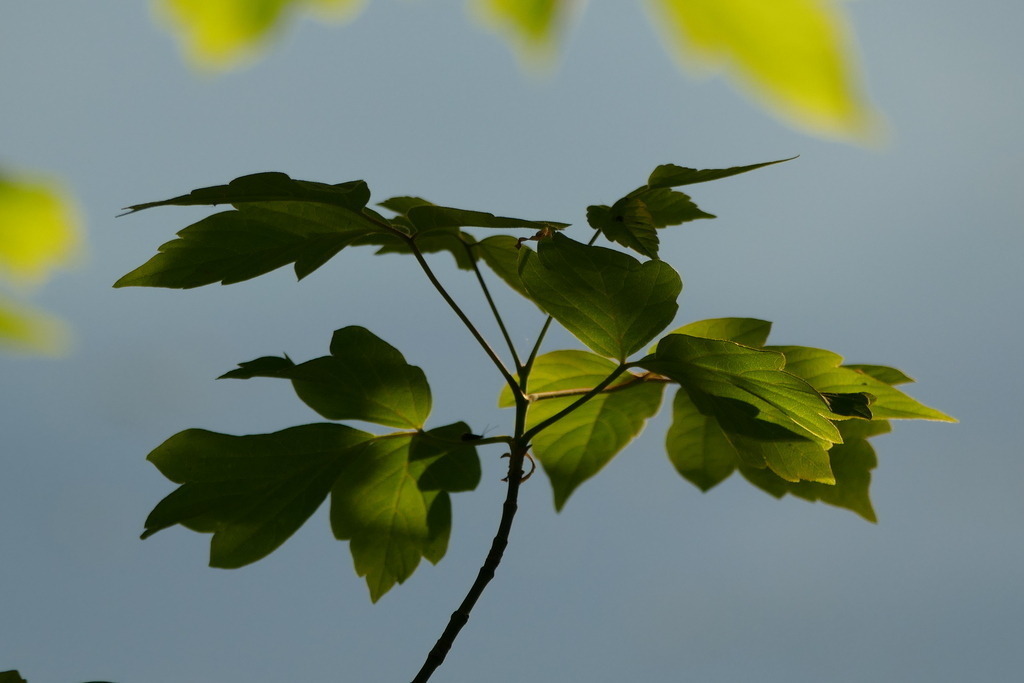 P3560864 | Annaeherungen - Realisiert mit Pictrs.com