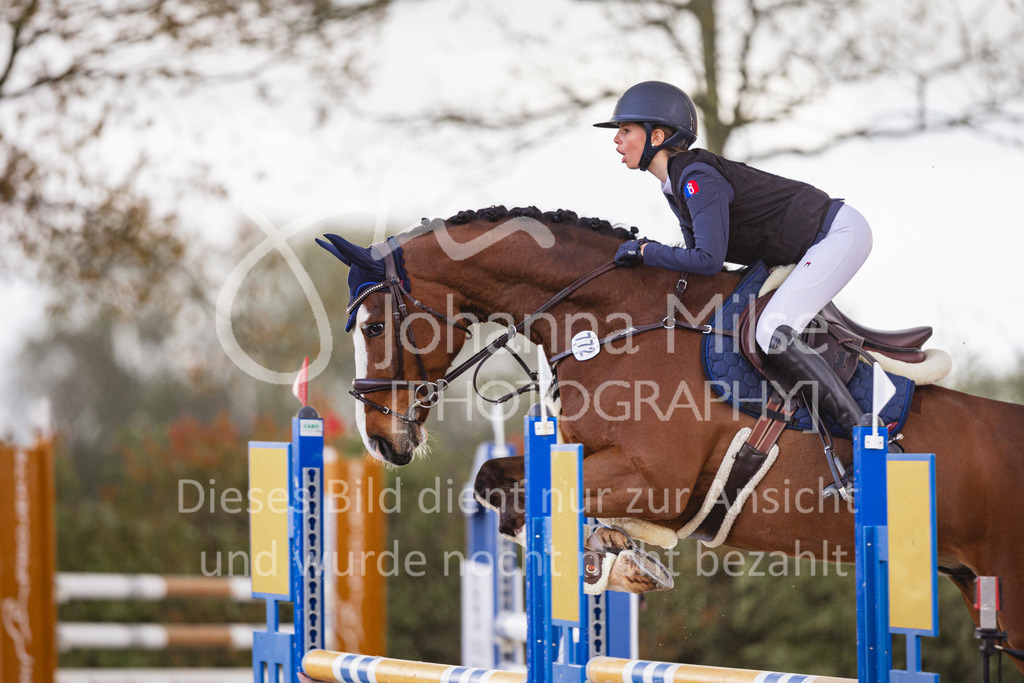 240424_Lemwerder_Stil-L-253 | Deine schönsten Turniermomente als professionelle Fotos! Entdecke hochwertige Pferdesport-Fotografie im Online-Shop. Jetzt Fotos finden & bestellen!
