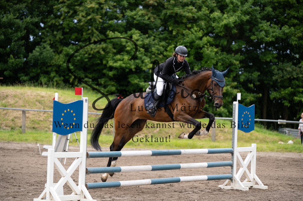 A7V03938 | Pferdefotograf