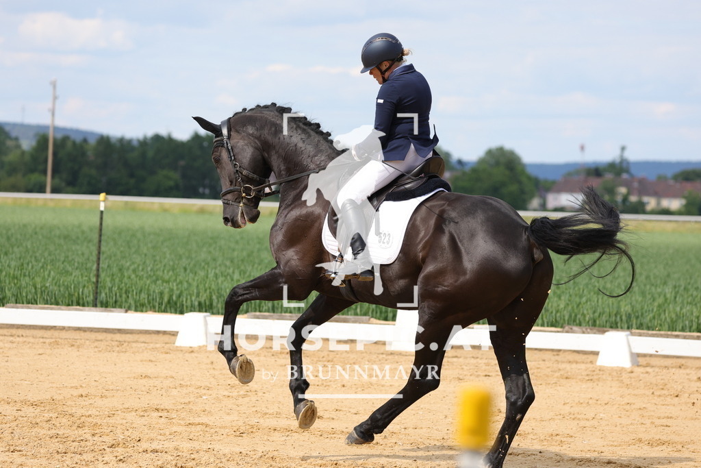 0P6A9101 | Willkommen bei Brunnmayr - Design & Fotografie – Ihrem Spezialisten für Reitturniere und Pferdeveranstaltungen in Oberösterreich, Salzburg und Bayern! Seit über 17 Jahren sind wir leidenschaftlich dabei.