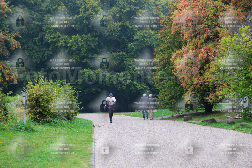 R6_ (15) | la-psv - Realisiert mit Pictrs.com