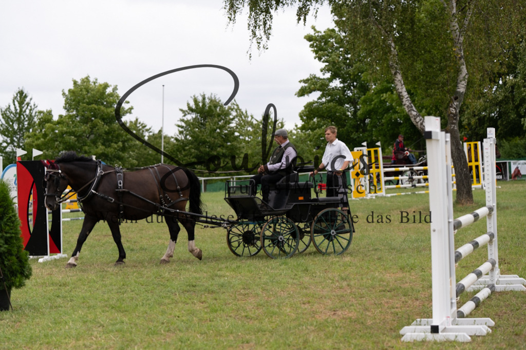 A7V05777 | Pferdefotograf