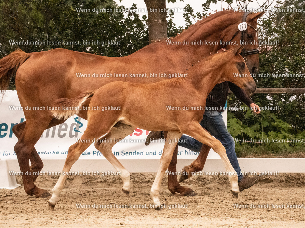 A10I1265 | photographylinaismer - Realisiert mit Pictrs.com