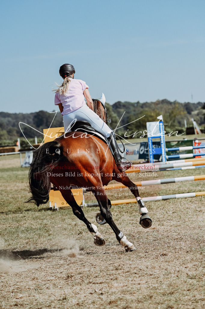 DSC_9743 | Pferde- und Turnierfotografie in Westsachsen. Pferdeportraits, Auftragszeichnungen und intuitive Kunst.