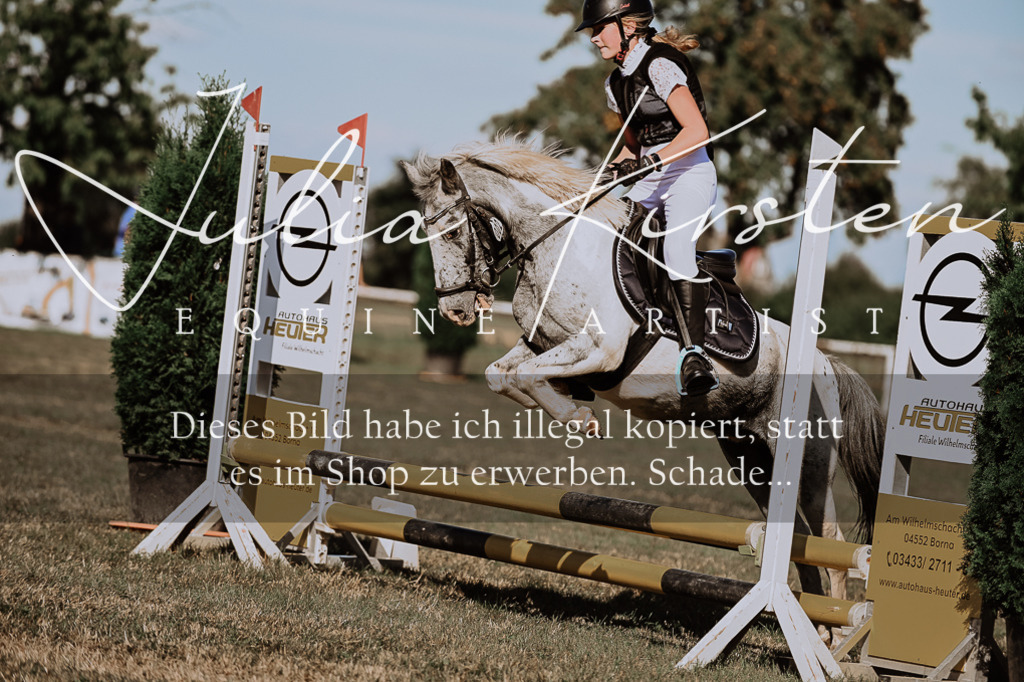 DSC_9447 | Pferde- und Turnierfotografie in Westsachsen. Pferdeportraits, Auftragszeichnungen und intuitive Kunst.