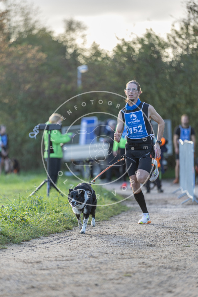 Pfotenfotografie.de_DV3A2732 | Hundefotografie, Tierfotograf, Pfotenfotografie, Fotoshooting Hund, Hunde Portrait, Hundesport, Hundeportraits, Heideshooting, Hunde, Sportfotograf, Hundefotograf, Turnierhundsport, THS, canicross - Realisiert mit Pictrs.com