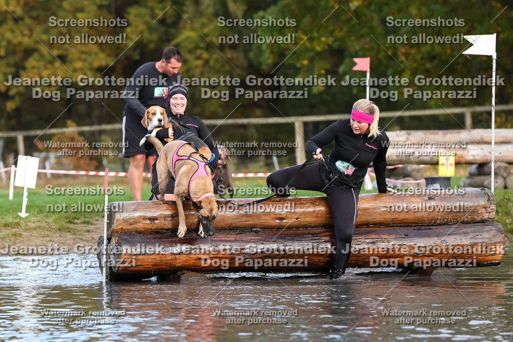 Dog Paparazzi - Strongdog 10-25-6976 | Dog Paparazzi Jeanette Grottendiek Fotografie & Videografie - Realisiert mit Pictrs.com