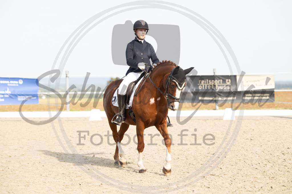 994A1219 | sabrinanicolaifotografie - Realisiert mit Pictrs.com