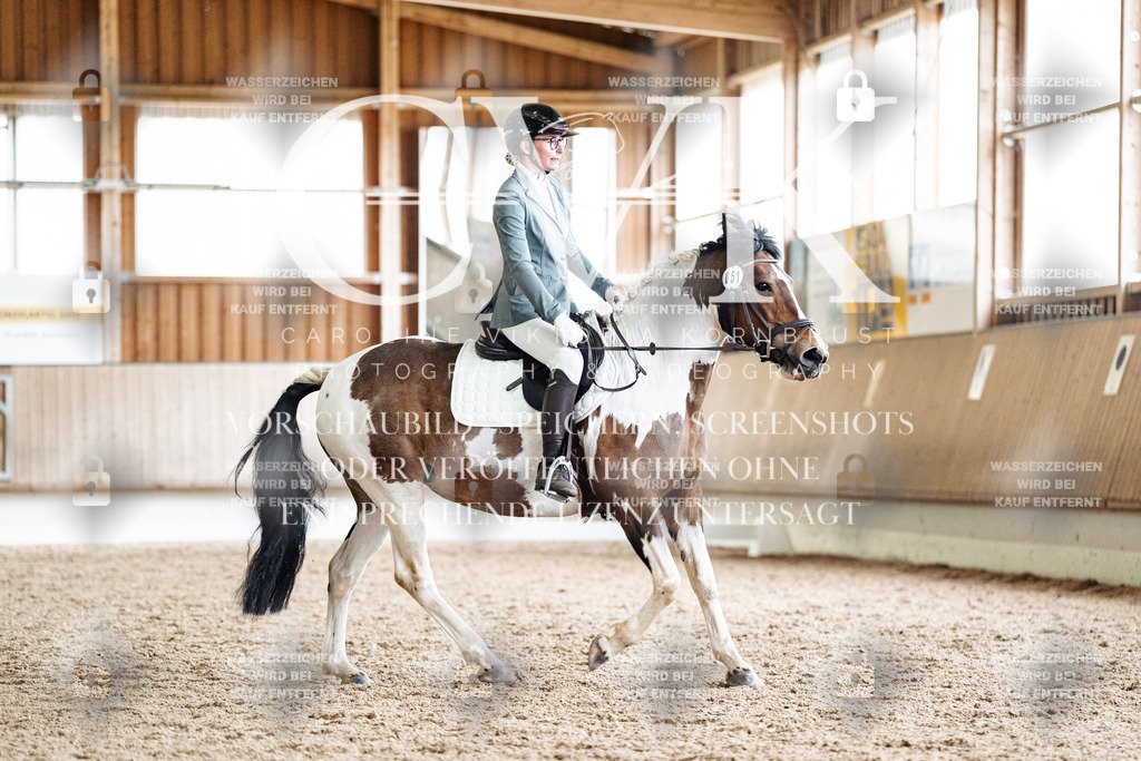 CK901081 | Turnierfotografie Pferdefotografie Trier Rheinland-Pfalz Pferdesport Reitsport Tierfotografie Sportfotografie Pferdevideo Pferdevideografie Equestrianvideography equestrianphotography  - Realisiert mit Pictrs.com